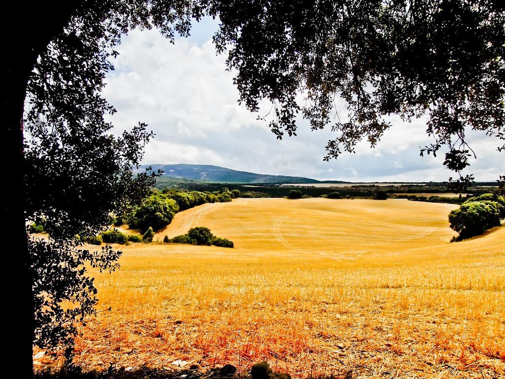 Hostal Camino Del Perdon Uterga Dış mekan fotoğraf